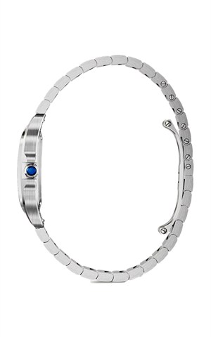 Cartier WSSA0082 Santos Watches