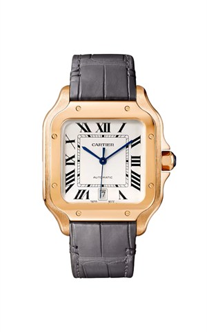Cartier WGSA0018 Santos Watches