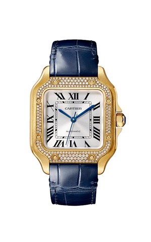 Cartier WJSA0013 Santos Watches