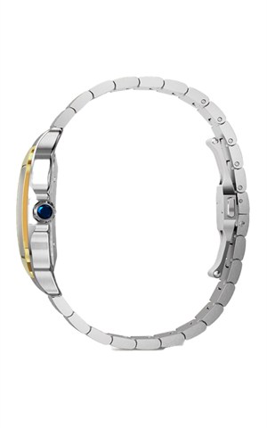 Cartier W2SA0030 Santos Watches