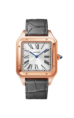 Cartier WGSA0032 Santos Watches