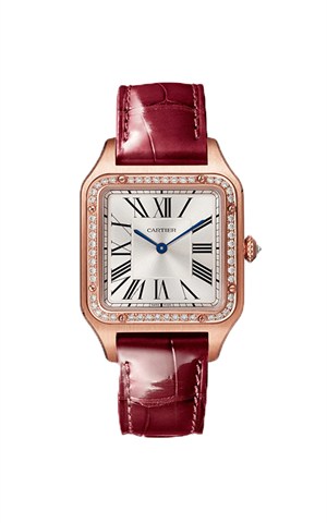 Cartier WJSA0016 Santos Watches