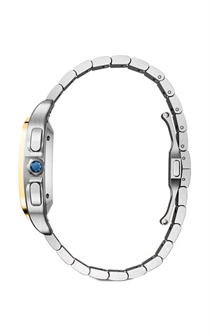 Cartier Santos