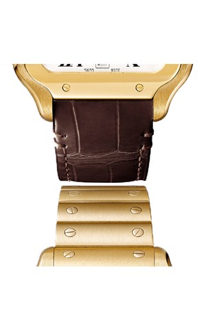 Cartier WGSA0029 Santos Watches