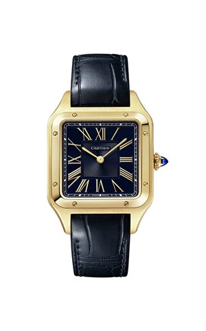 Cartier WGSA0077 Santos Watches