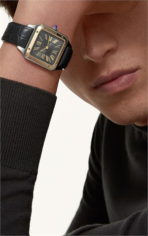 Cartier W2SA0028 Santos Watches
