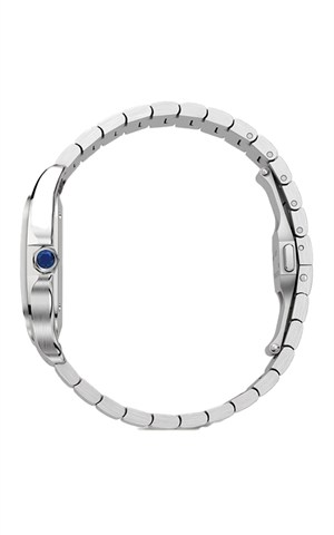 Cartier WSSA0065 Santos Watches