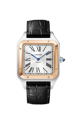 Cartier W2SA0017 Santos Watches