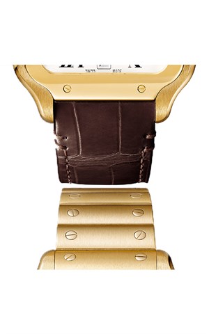 Cartier Santos