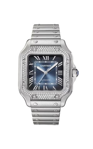 Cartier W4SA0006 Santos Watches