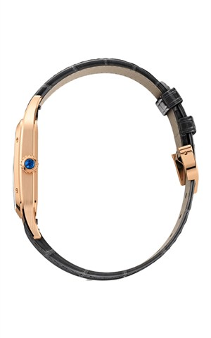 Cartier WGSA0021 Santos Watches