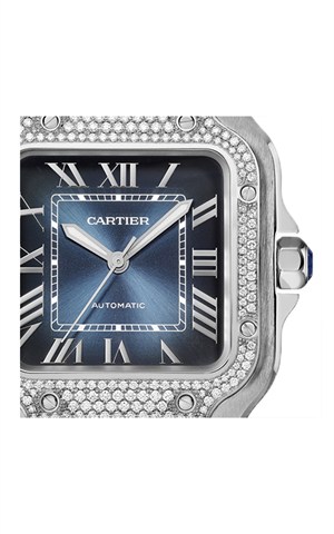 Cartier W4SA0006 Santos Watches