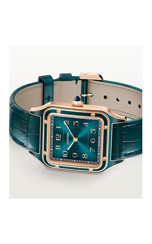 Cartier WGSA0098 Santos Watches
