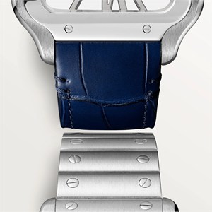 Cartier WHSA0015 Santos Watches