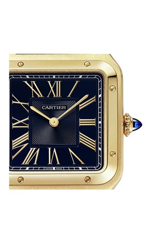 Cartier WGSA0077 Santos Watches