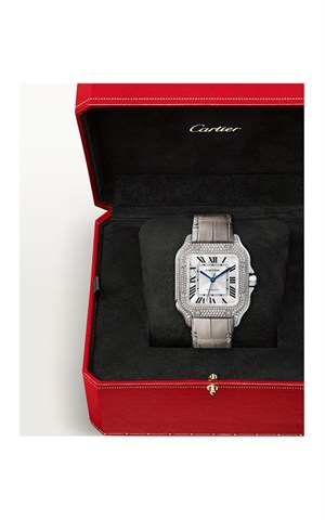 Cartier Santos