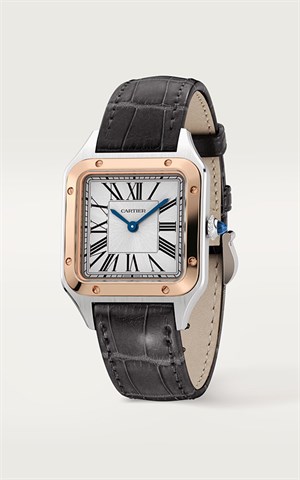 Cartier Santos