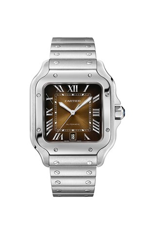 Cartier WSSA0064 Santos Watches