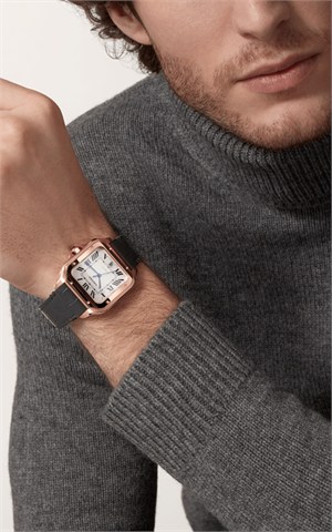 Cartier WGSA0019 Santos Watches