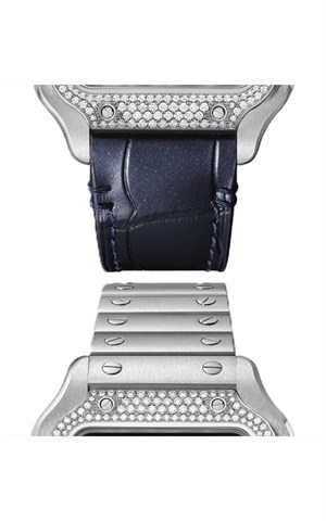 Cartier W4SA0006 Santos Watches
