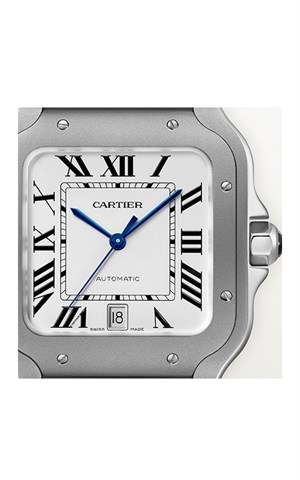 Cartier WSSA0089 Santos Watches