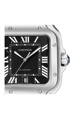 Cartier WSSA0096 Santos Watches