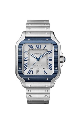 Cartier WSSA0047 Santos Watches
