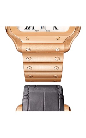 Cartier WGSA0018 Santos Watches
