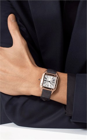 Cartier WGSA0021 Santos Watches