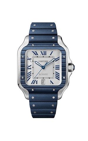 Cartier WSSA0047 Santos Watches