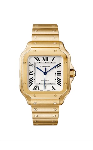 Cartier WGSA0029 Santos Watches