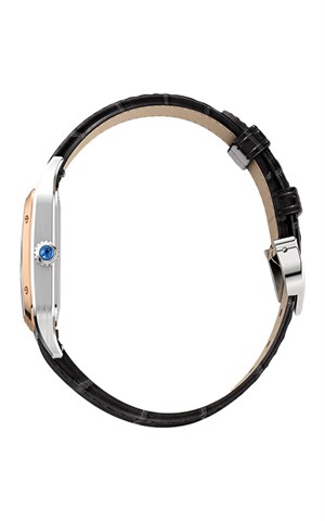 Cartier Santos Dumont