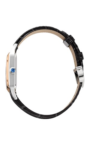 Cartier Santos Dumont