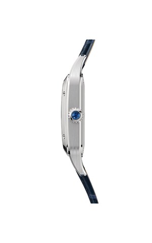 Cartier WSSA0086 Watches