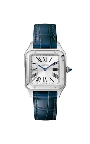 Cartier WSSA0086 Watches