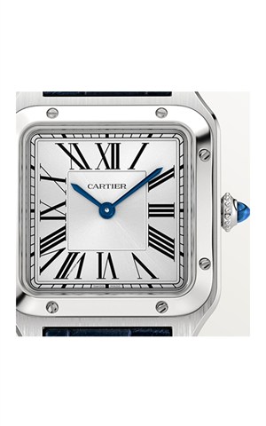 Cartier WSSA0086 Watches