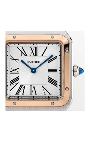 Cartier W2SA0037 Watches
