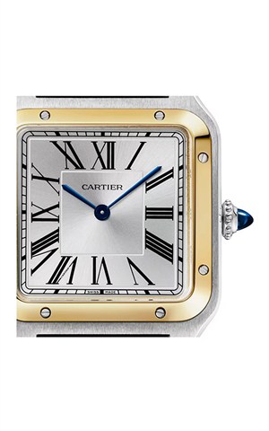 Cartier W2SA0046 Watches