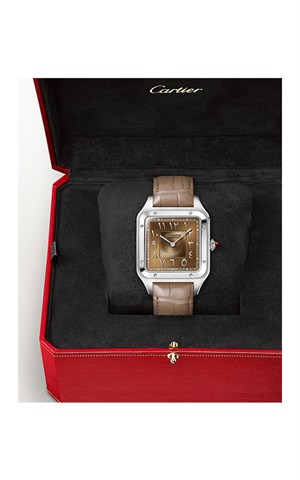 Cartier WGSA0114 Watches