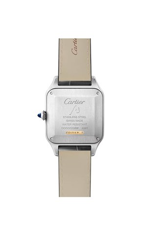 Cartier W2SA0046 Watches