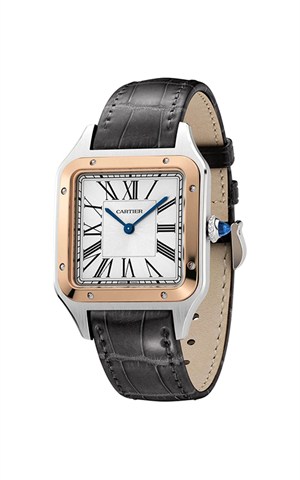 Cartier W2SA0037 Watches