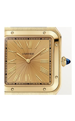 Cartier WGSA0111 Watches
