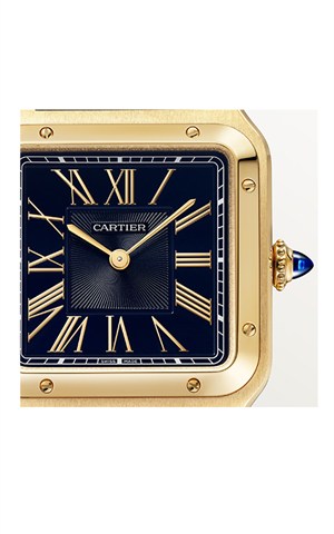 Cartier WGSA0115 Watches