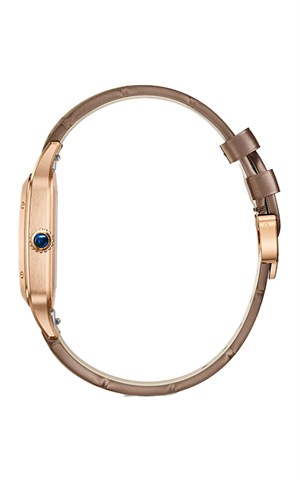Cartier WGSA0112 Watches