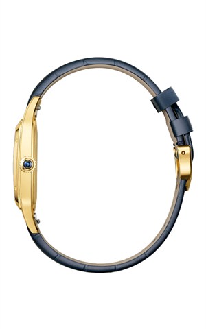Cartier WGSA0139 Watches