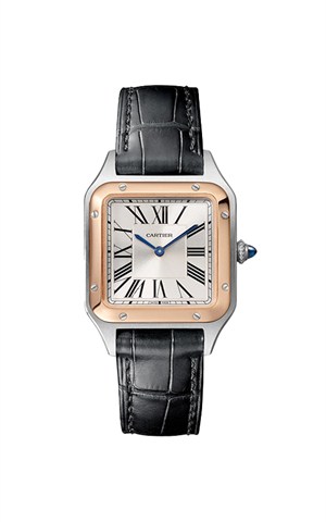 Cartier Santos Dumont