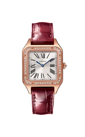 Cartier WJSA0017 Watches