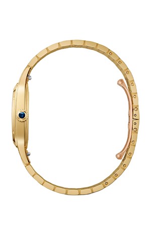 Cartier WGSA0123 Watches