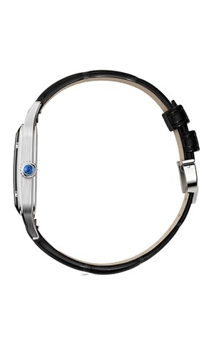 Cartier WSSA0046 Watches