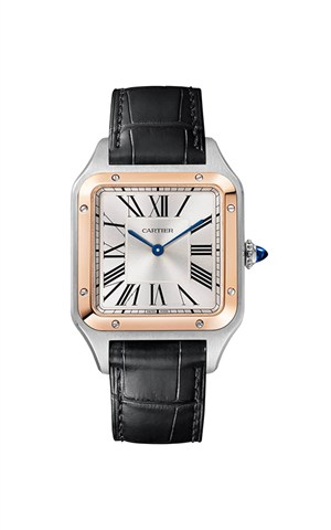 Cartier W2SA0037 Watches